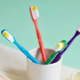 Brosse à dents à tête rechargeable I Plusieurs coloris